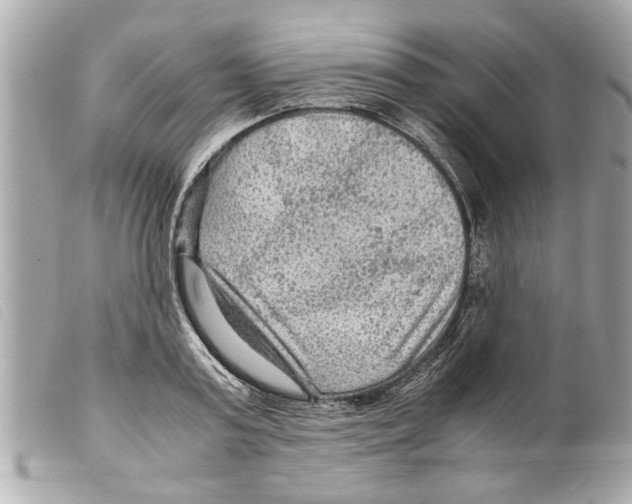 X0000099290795200805301110