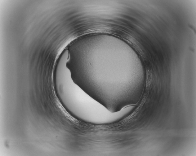 X0000099290796200805301110