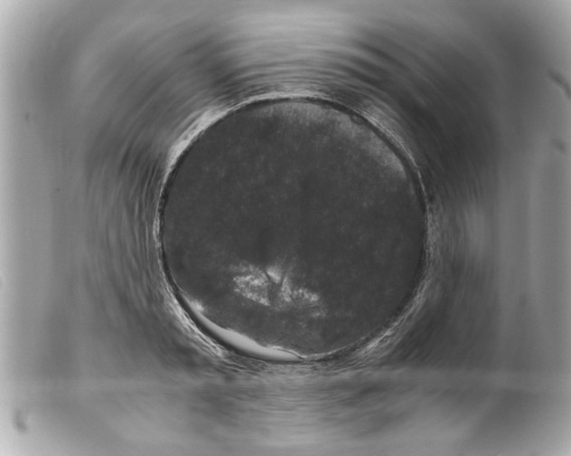 X0000099290797200805301110