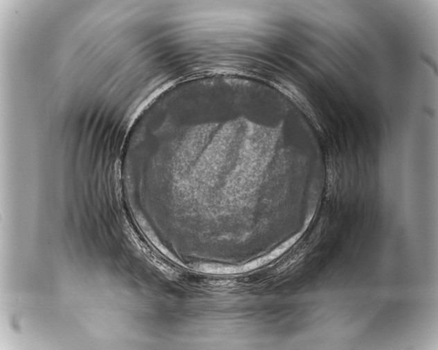X0000099290798200805301110