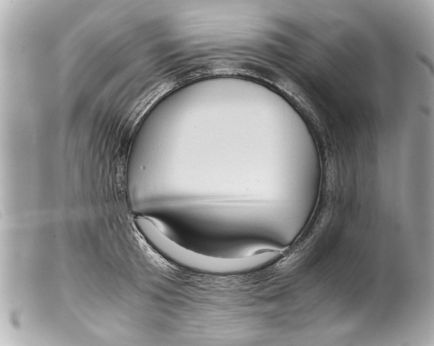 X0000099290801200805301110