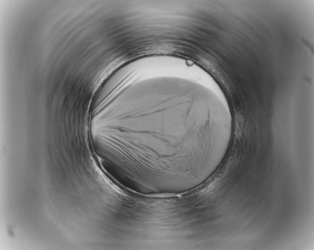 X0000099290802200805301110