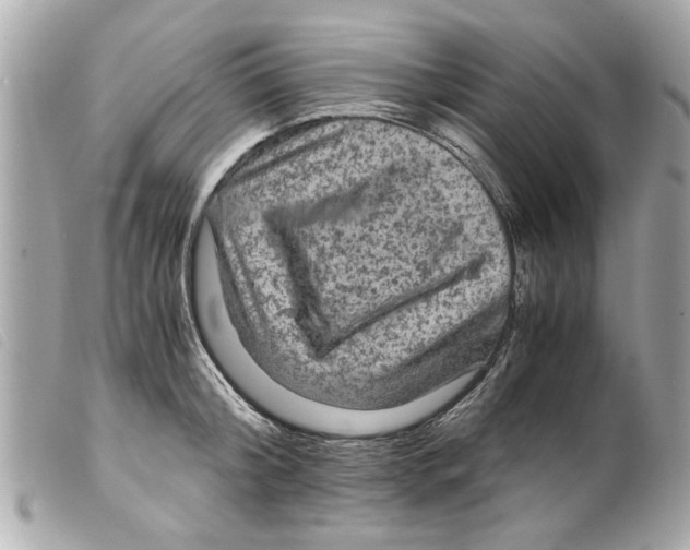 X0000099290804200805301110