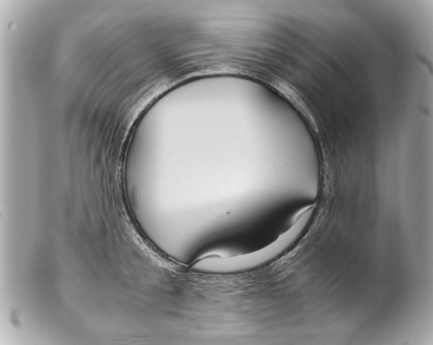 X0000099290805200805301110