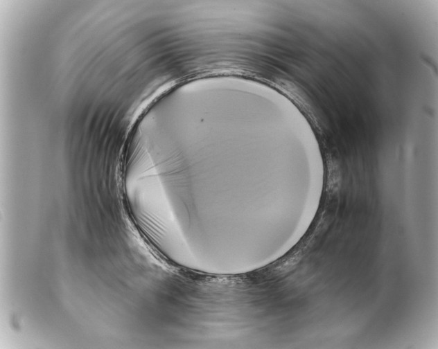 X0000099290806200805301110