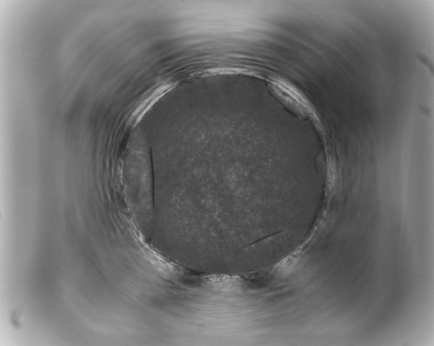X0000099290809200805301110