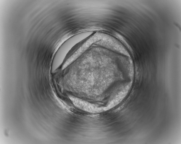 X0000099290810200805301110