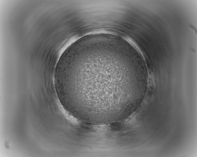 X0000099290813200805301110