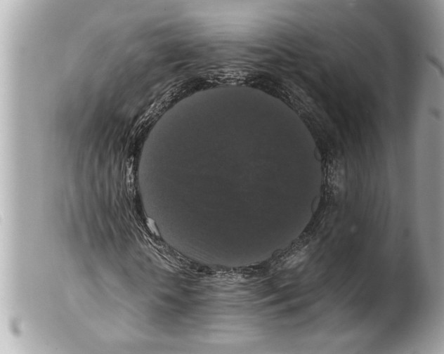 X0000099290818200805301109