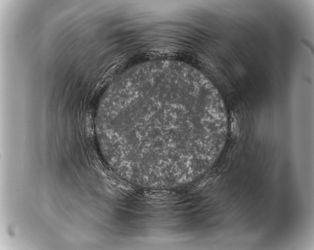 X0000099290819200805301109