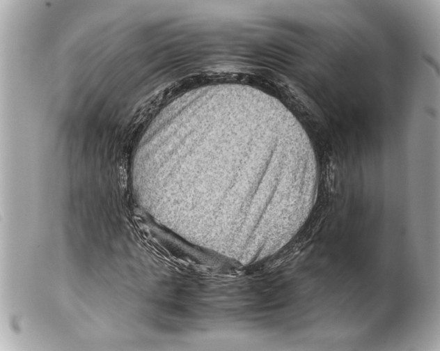 X0000099290821200805301109