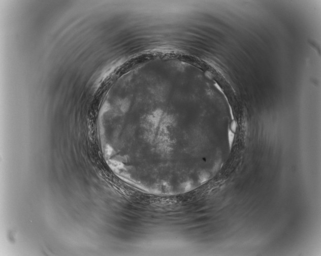 X0000099290823200805301109
