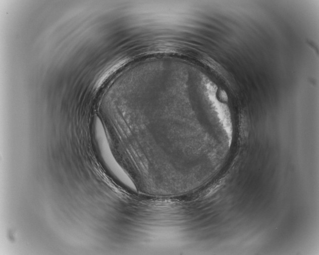 X0000099290826200805301109
