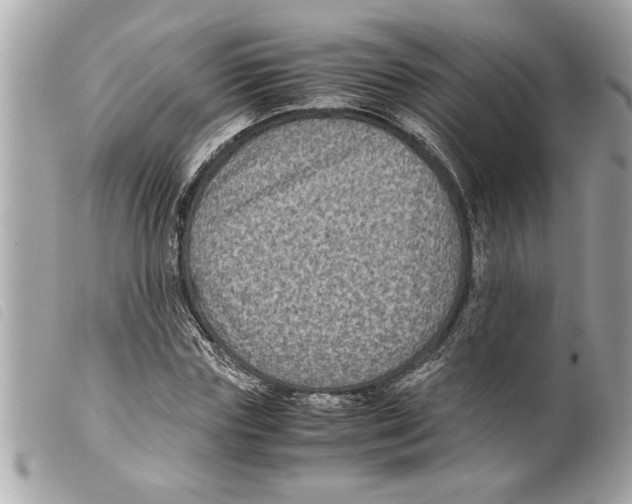 X0000099290827200805301109