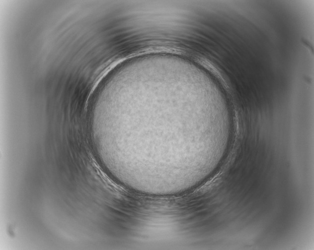 X0000099290828200805301110