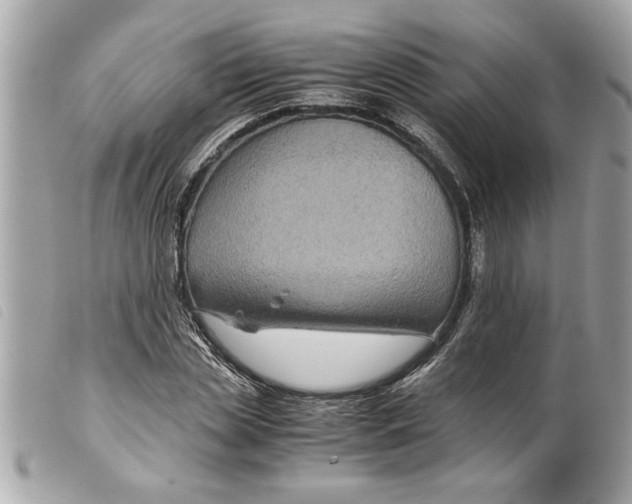 X0000099290829200805301110