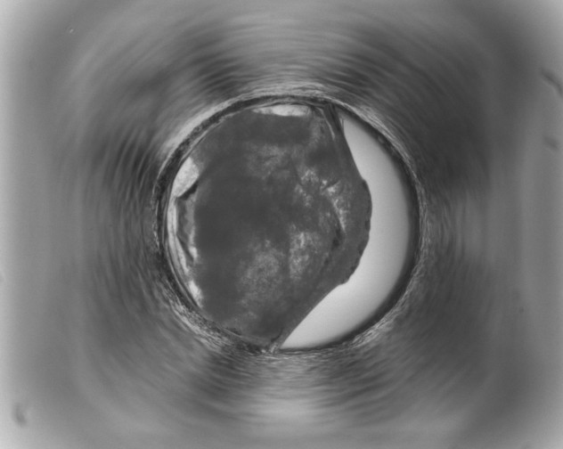 X0000099290830200805301110