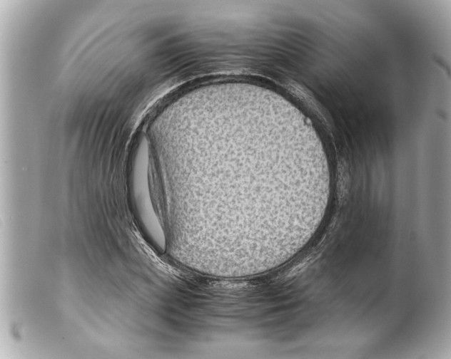 X0000099290831200805301110