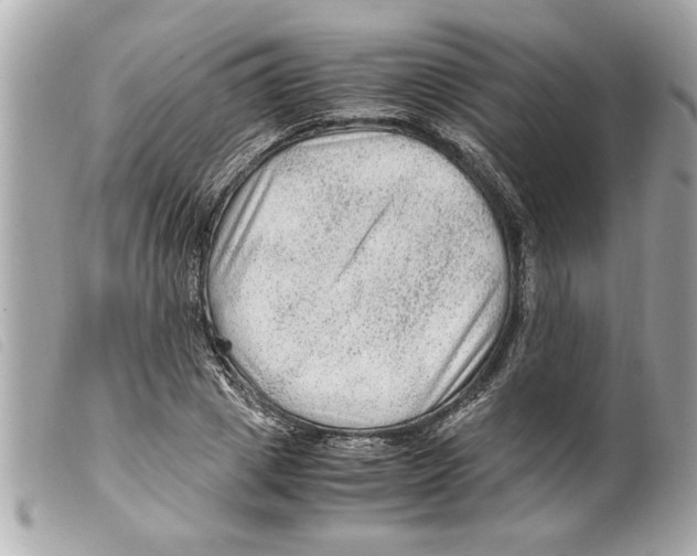 X0000099290833200805301110
