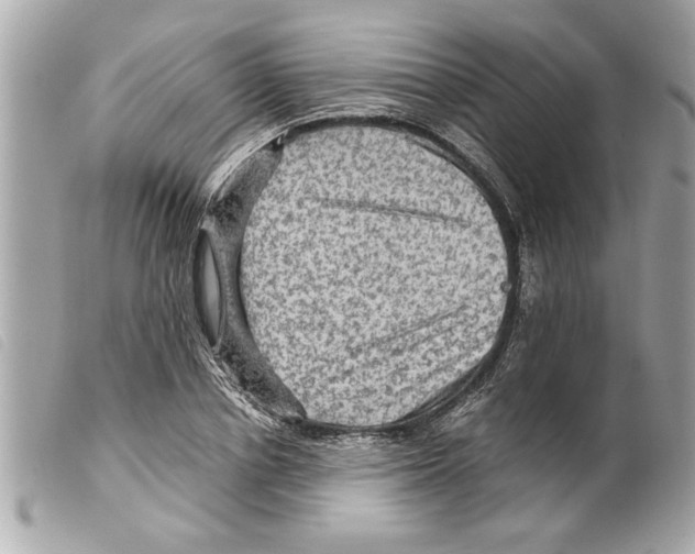 X0000099290834200805301110