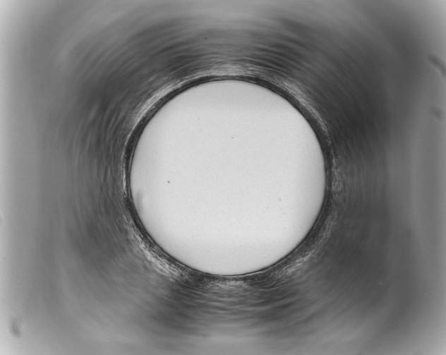 X0000099290837200805301110