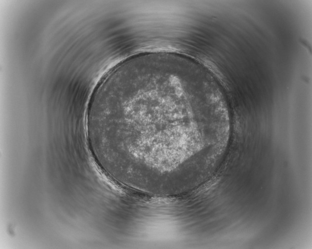 X0000099290840200805301110
