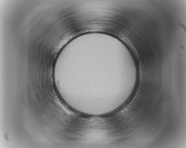 X0000099290842200805301110