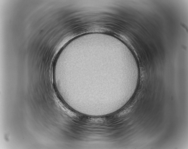 X0000099290843200805301110