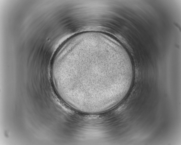 X0000099290846200805301110