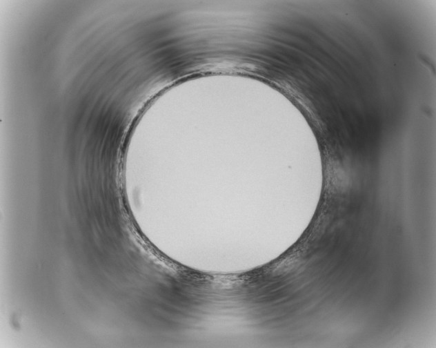 X0000099290848200805301110