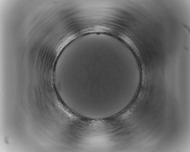 X0000099290850200805301110