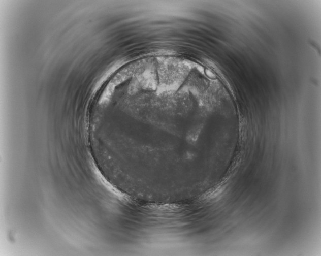 X0000099290851200805301110