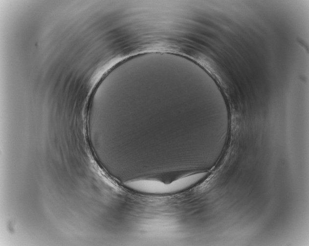 X0000099290854200805301110