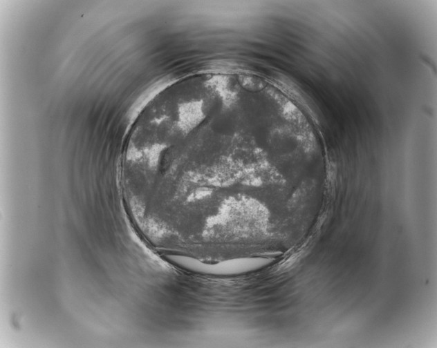 X0000099290855200805301110