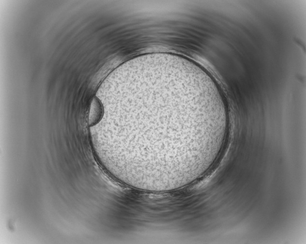 X0000099290857200805301110