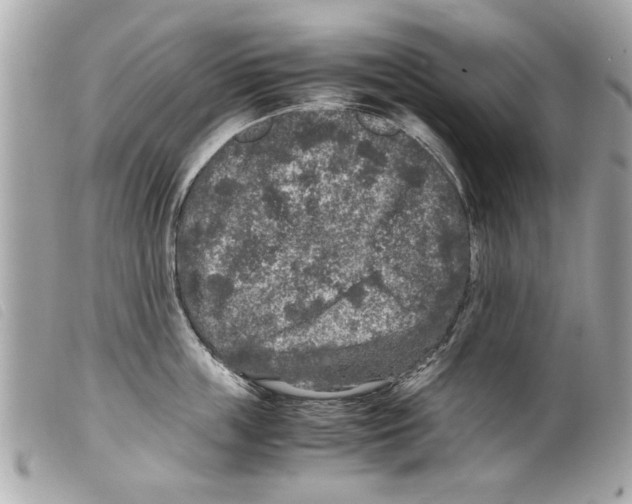 X0000099290859200805301110