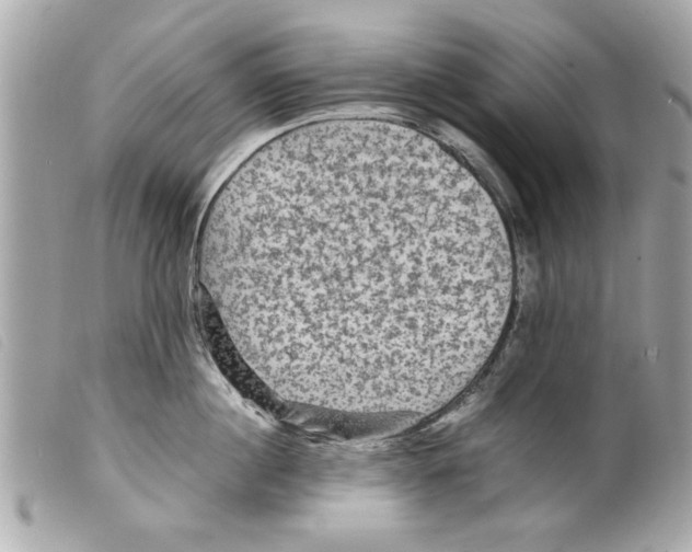 X0000099290860200805301110