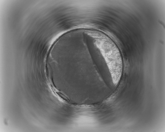 X0000099290862200805301110