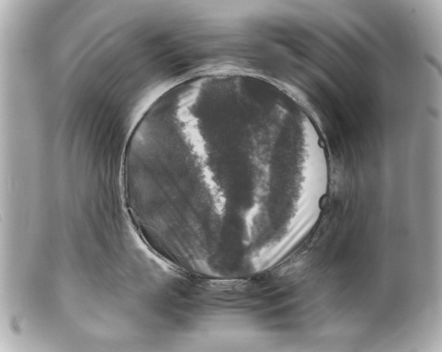 X0000099290863200805301110