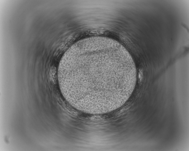 X0000099290867200805301109