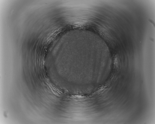 X0000099290868200805301109