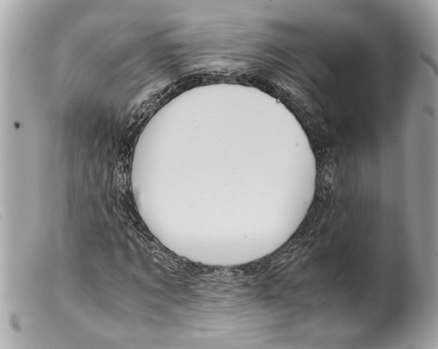X0000099290869200805301109