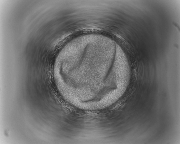 X0000099290870200805301109