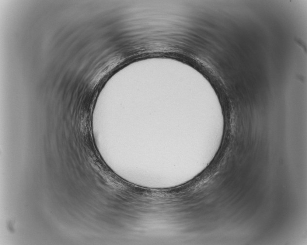 X0000099290873200805301109