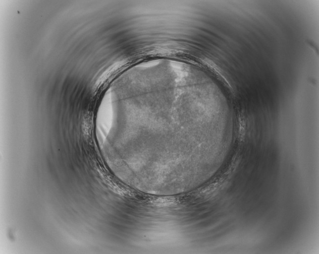 X0000099290874200805301109