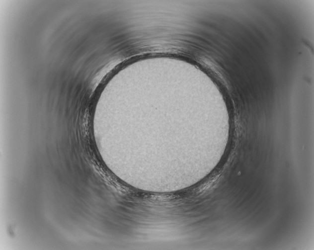 X0000099290875200805301109