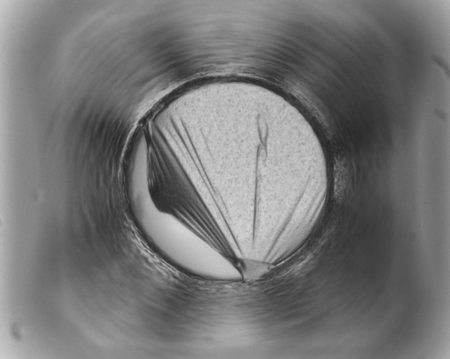 X0000099290876200805301109