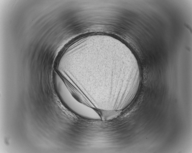 X0000099290880200805301109