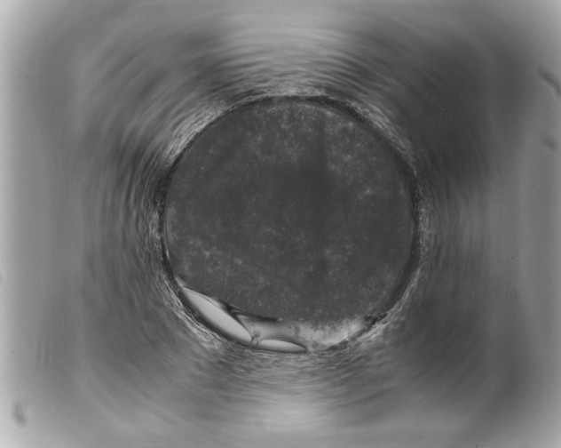 X0000099290881200805301109