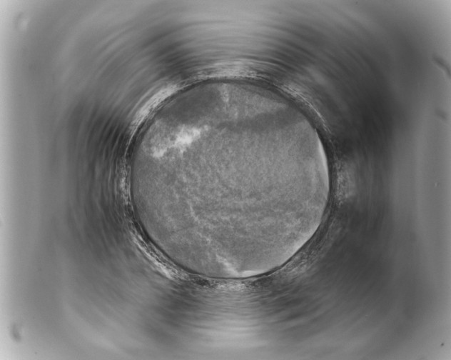 X0000099290882200805301109